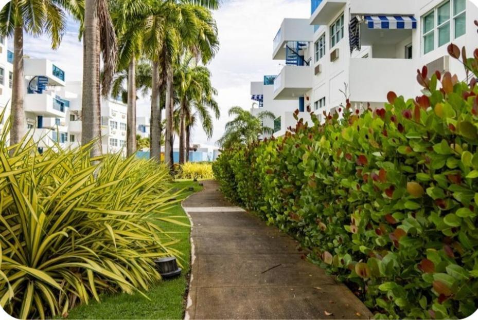 Breezy Nights Puerto Rico Apartment Loiza Exterior photo